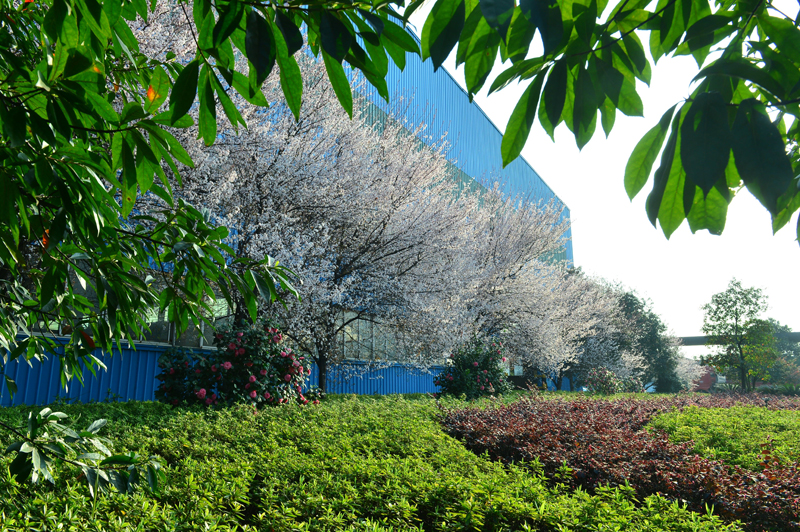 最美绿色钢城 衡钢榜上有名