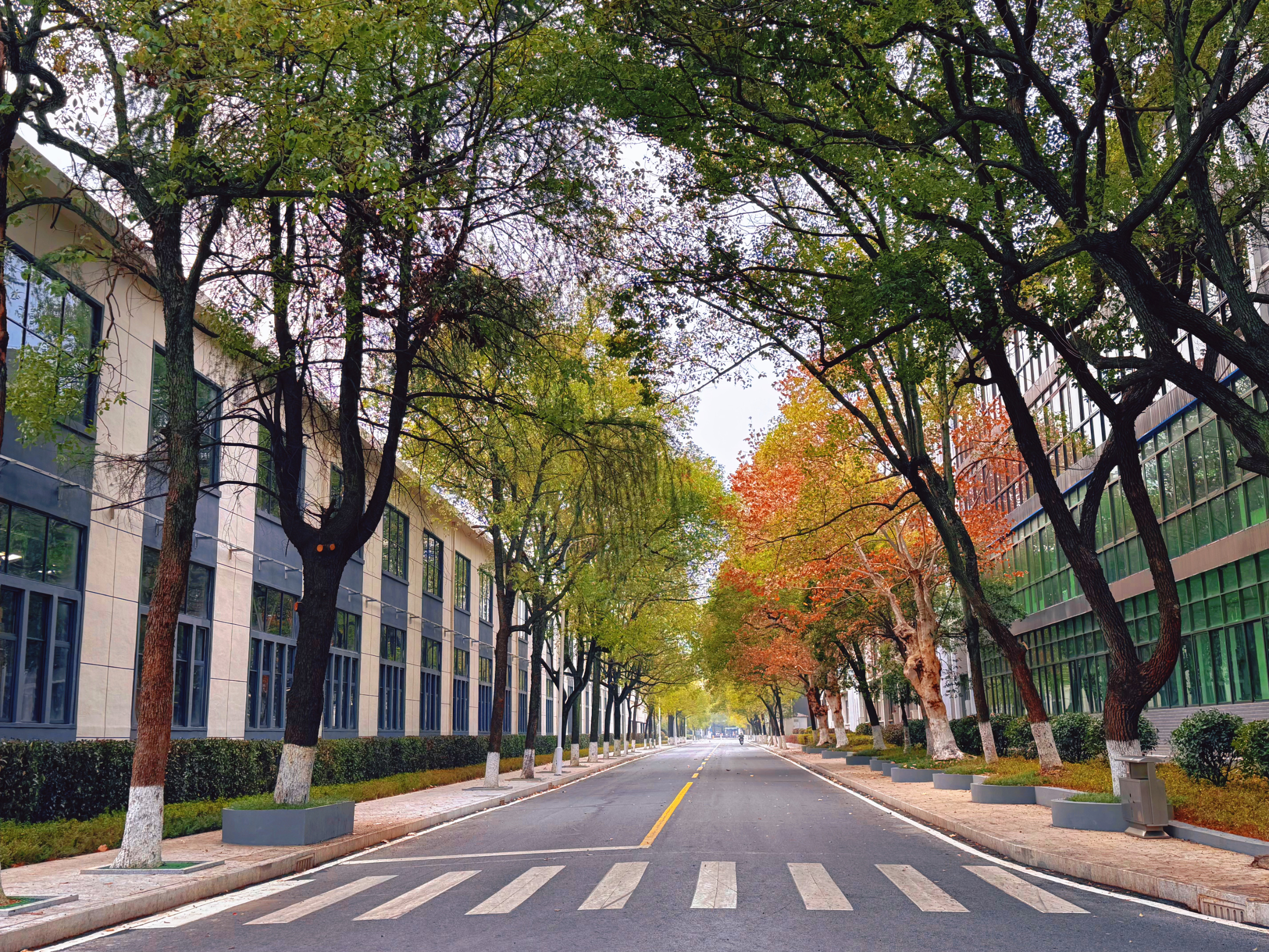 《中国环境网》衡钢获评国家级绿色工厂