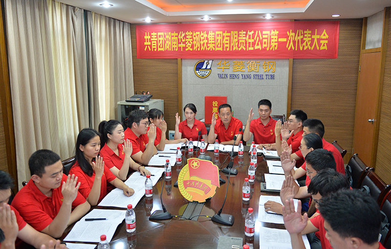 共青团湖南华菱钢铁集团有限责任公司召开第一次代表大会