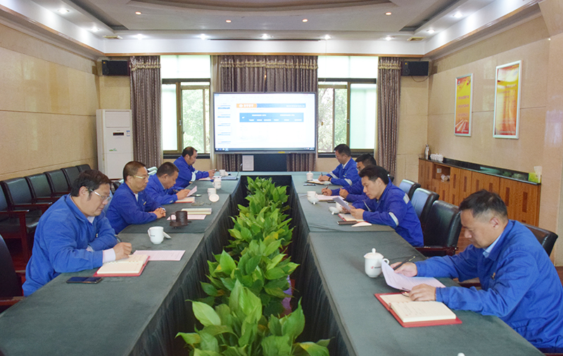 党建引领高质量发展 公司党委中心组开展集中学习