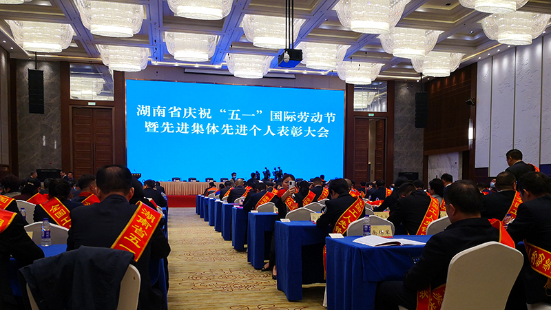 劳动光荣 衡钢多人喜获表彰